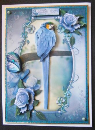 Parrots Paradise by Davina Rundle