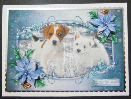 Snow Dogs by Davina Rundle