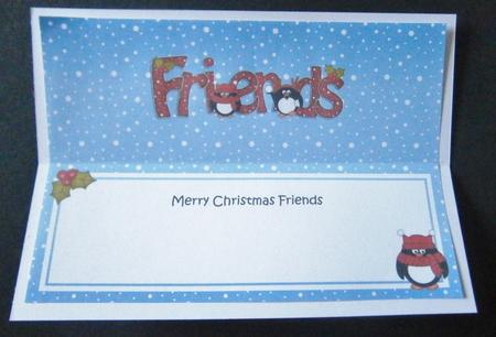 Large Dl Xmas Friends Penguin Insert by Davina Rundle