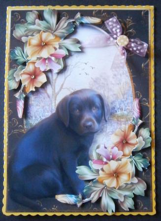 Gorgeous Chocolate Labrador Puppy by Davina Rundle