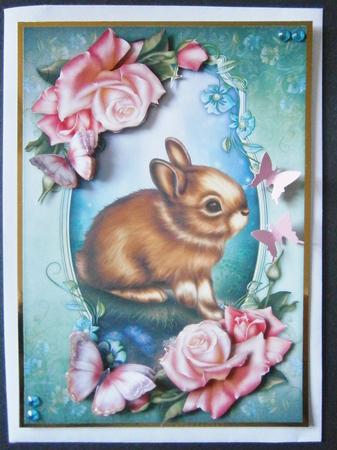 Baby Bunny by Davina Rundle