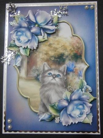 Kitten & Blue Roses by Davina Rundle