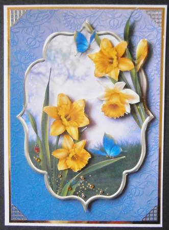 Spring Daffodils by Davina Rundle