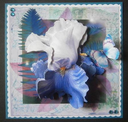 Irresistible Iris by Davina Rundle