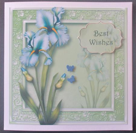Pretty Pale Blue Iris 8x8 Quick Topper by Davina Rundle
