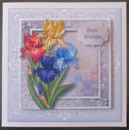 Pretty Mixed Iris 8x8 Quick Toppers by Davina Rundle