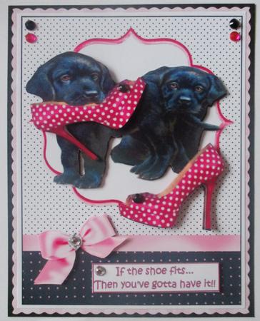 If the Shoe Fits by Davina Rundle
