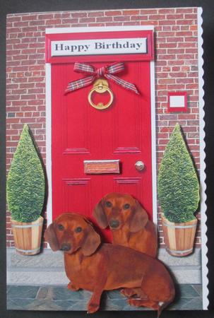 Dachshund with a Red Door by Davina Rundle
