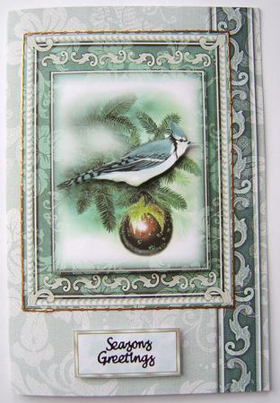 Christmas Tweets - Finch Backing Paper Two by Davina Rundle
