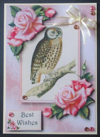 Gorgeous Owl & Edwardian Roses A5 by Davina Rundle