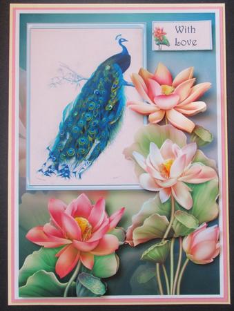 Peacock & Lotus Blooms A5 by Davina Rundle