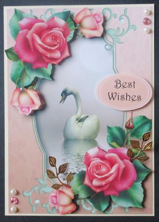 Beautiful Swan with Pink & Peach Roses A5 by Davina Rundle