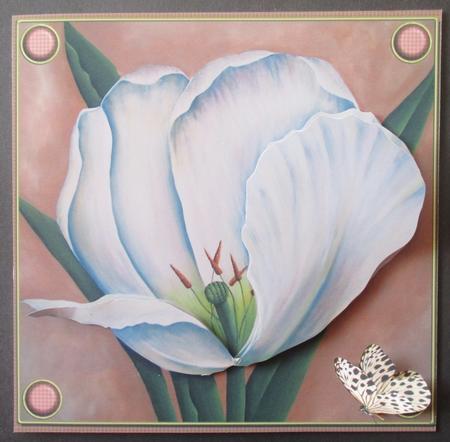 Hand Painted Tulip by Davina Rundle