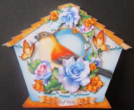 Colorful Bird House with Roses by Davina Rundle