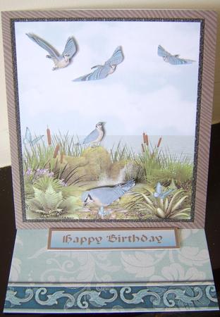 A Gathering of Blue Jays by Davina Rundle