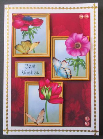 Anemones & Butterflies Frame Trio by Davina Rundle