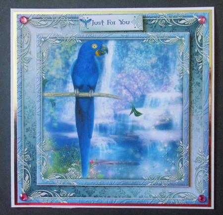 Parrots Paradise by Davina Rundle