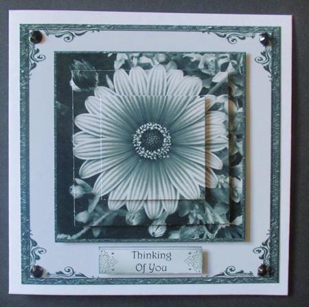 Floral Monochrome 1 by Davina Rundle
