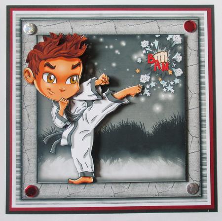 Martial Arts Mayhem by Davina Rundle