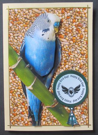 Budgie Card Front by Davina Rundle