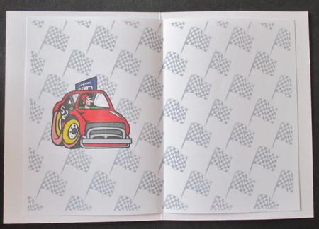 Rally Races Insert by Davina Rundle
