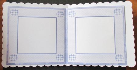 Blue Owl Insert by Davina Rundle