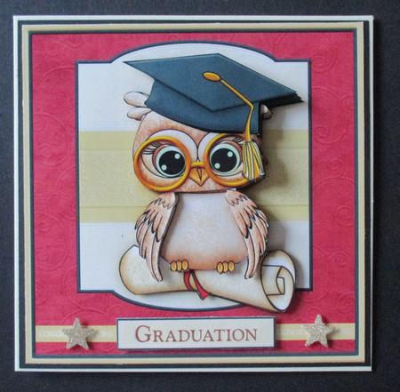 Graduation Owl Card Topper & Decoupage by Davina Rundle