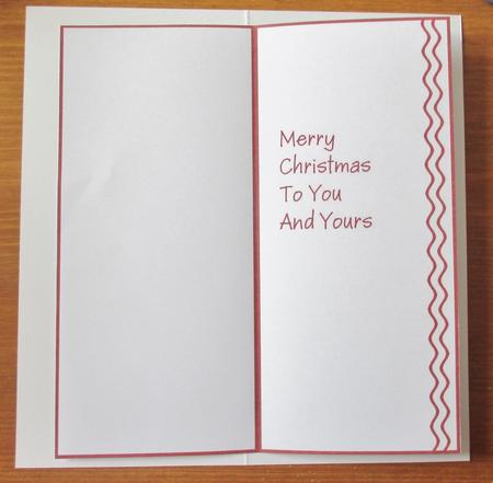 Dl Insert - Christmas 13 by Davina Rundle