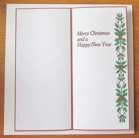 Dl Insert - Christmas 8 by Davina Rundle