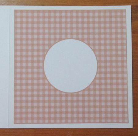 Baby Gingham Brown Insert 8x8 by Davina Rundle