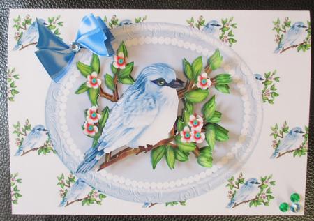 Pretty Bluebird on a Branch with Flowers in Pearl Frame by Davina Rundle