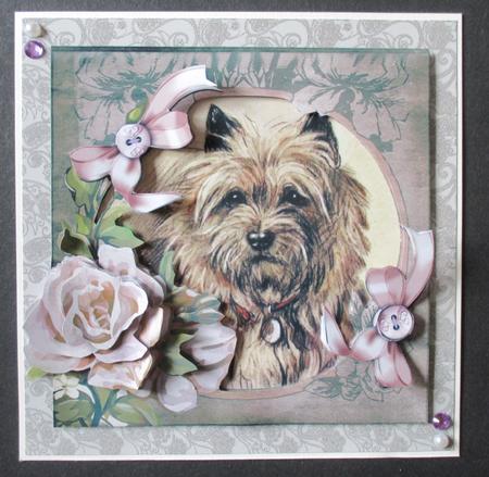 Cairn Terrier by Davina Rundle