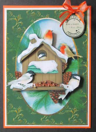 Snowy Christmas Birdhouse by Davina Rundle