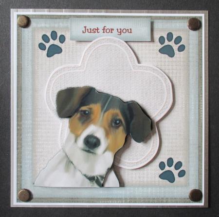 Pets Are Family! by Davina Rundle