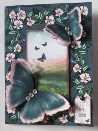 Butterfly Meadow by Davina Rundle
