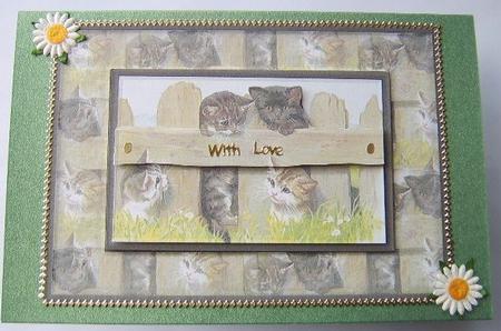 Cats Quick Card by Davina Rundle