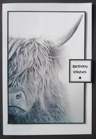 Highland Boy by Davina Rundle