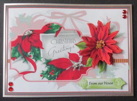 Red Poinsettias Greetings by Davina Rundle