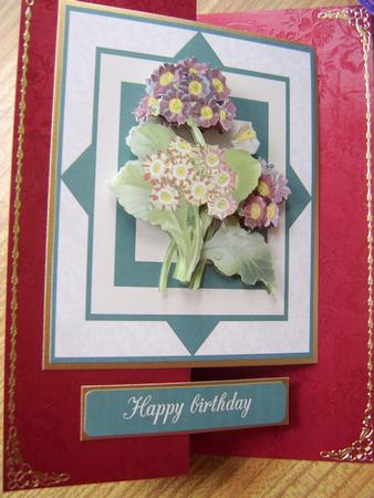 Easter Primulas by Davina Rundle