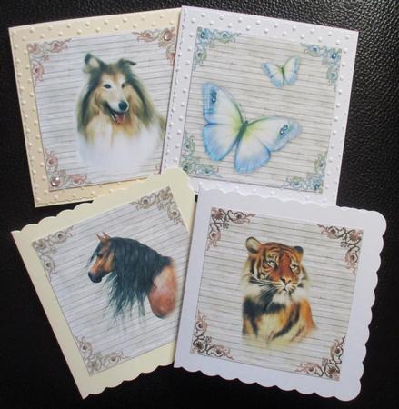 Mixed 8x8 Animal Papers by Davina Rundle