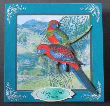 2 Lorikeets Male Birthday Card Front by Davina Rundle