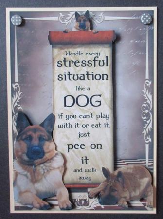 Handle Every Stressful Situation Like a Dog - german Shepherd by Davina Rundle