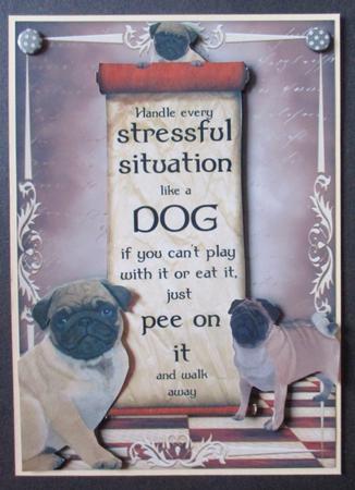 Handle Every Stressful Situation Like a Dog - pug by Davina Rundle