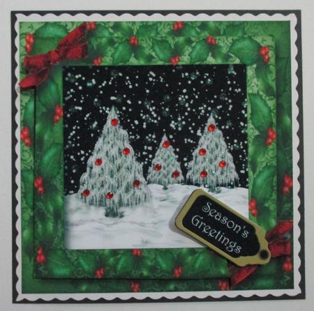 Snowy Winter Trees by Davina Rundle