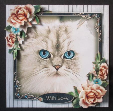 Blue Eyes by Davina Rundle