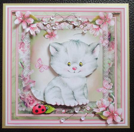 Hello Butterfly and Ladybird 7x7 Card by Davina Rundle
