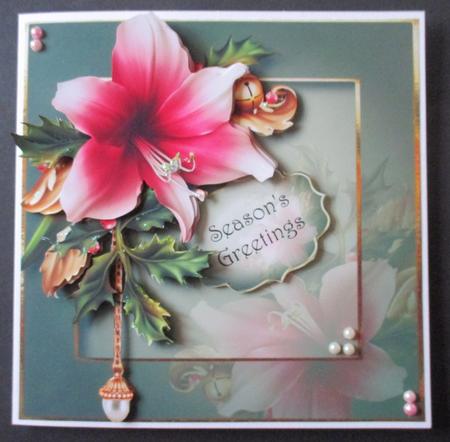 Festive Amaryllis Mini Kit by Davina Rundle