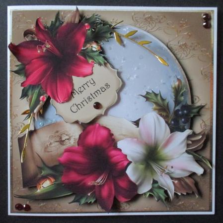 Christmas Amaryllis Snow Globe by Davina Rundle
