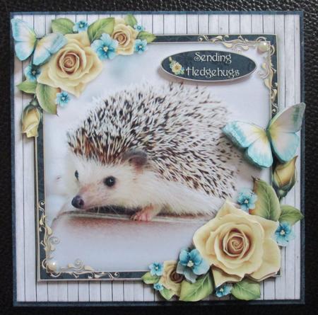 Hedgehugs by Davina Rundle