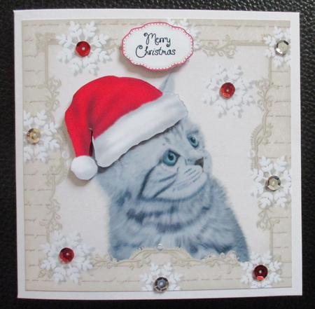 Festive Grey Cat 8x8 by Davina Rundle